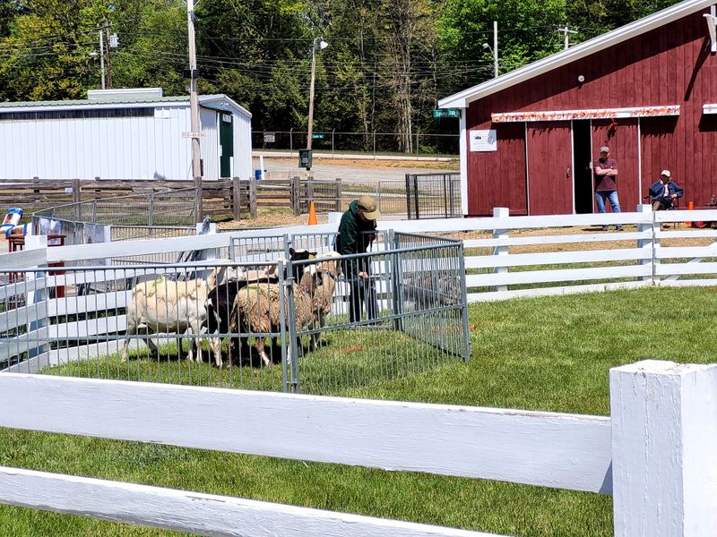 A Lakeside Setting That Prioritizes Quiet Over Attractions