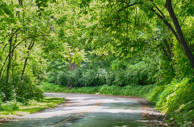 Cliff Drive Scenic Byway (Jasper/Joplin Area)