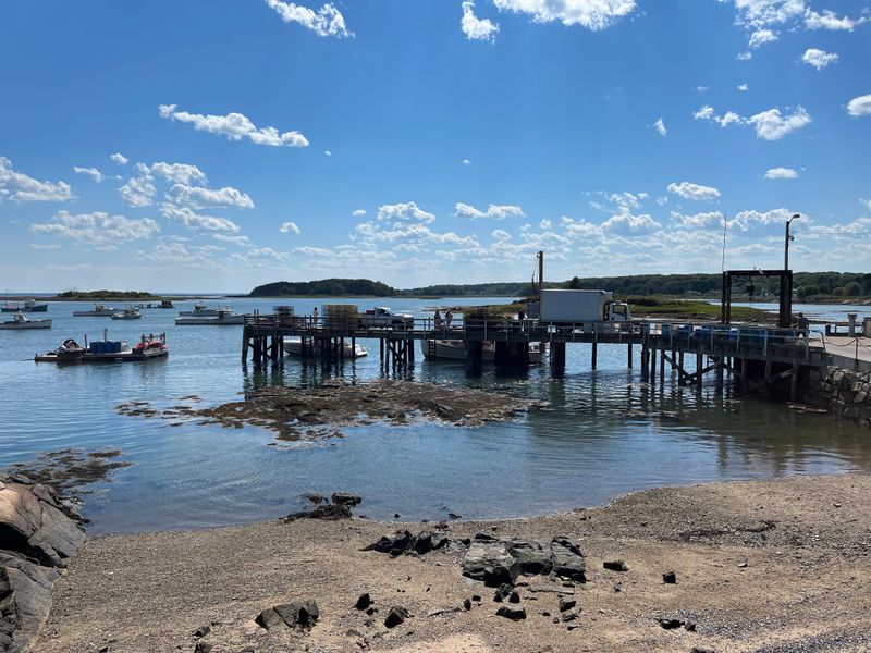 Seasonal Visitors Without Year-Round Crowds