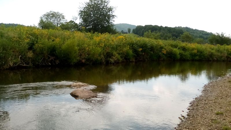 Wildlife Viewing Opportunities Throughout The Seasons