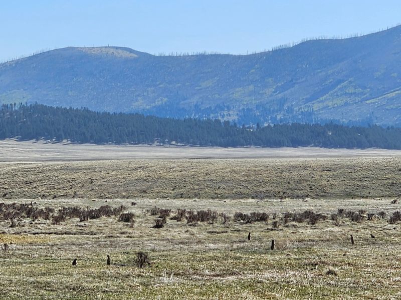 Valles Caldera National Preserve