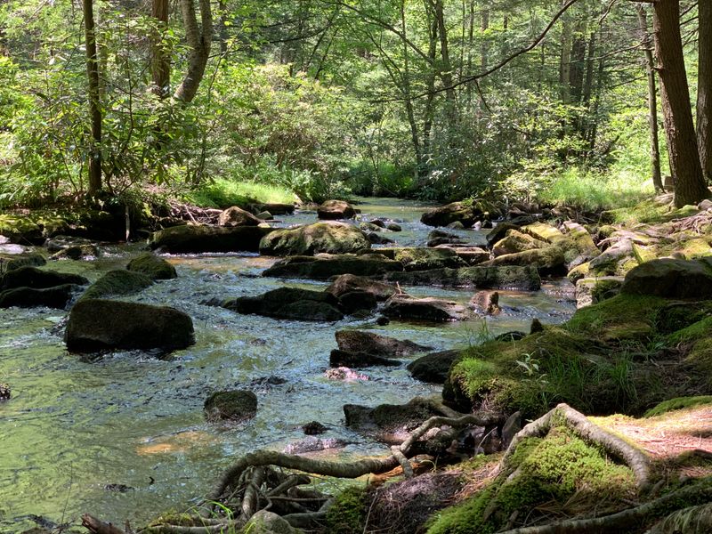 R.B. Winter Falls (R.B. Winter State Park)