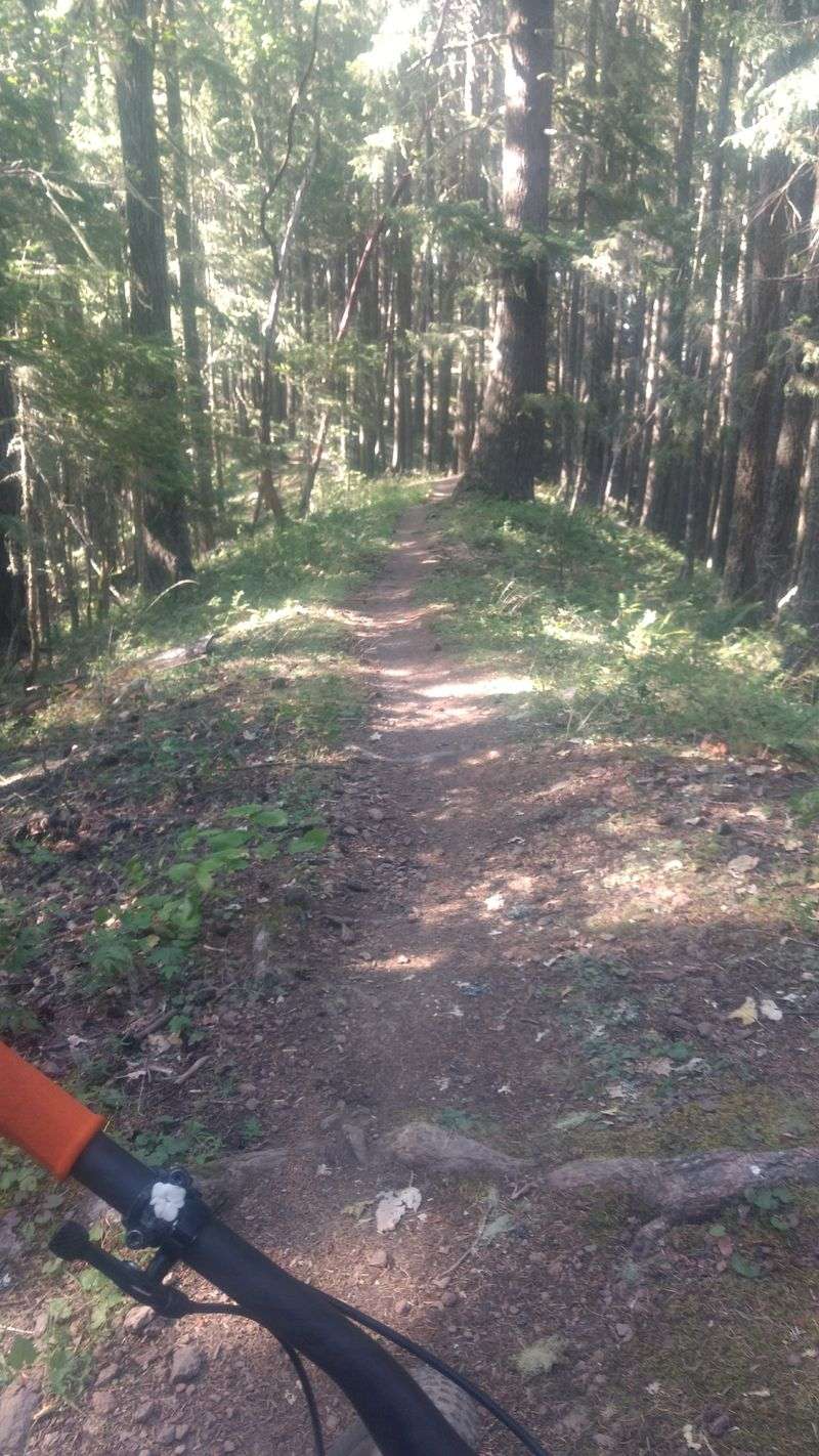 Outdoor Recreation Isn't A Weekend Activity — It's Daily Life