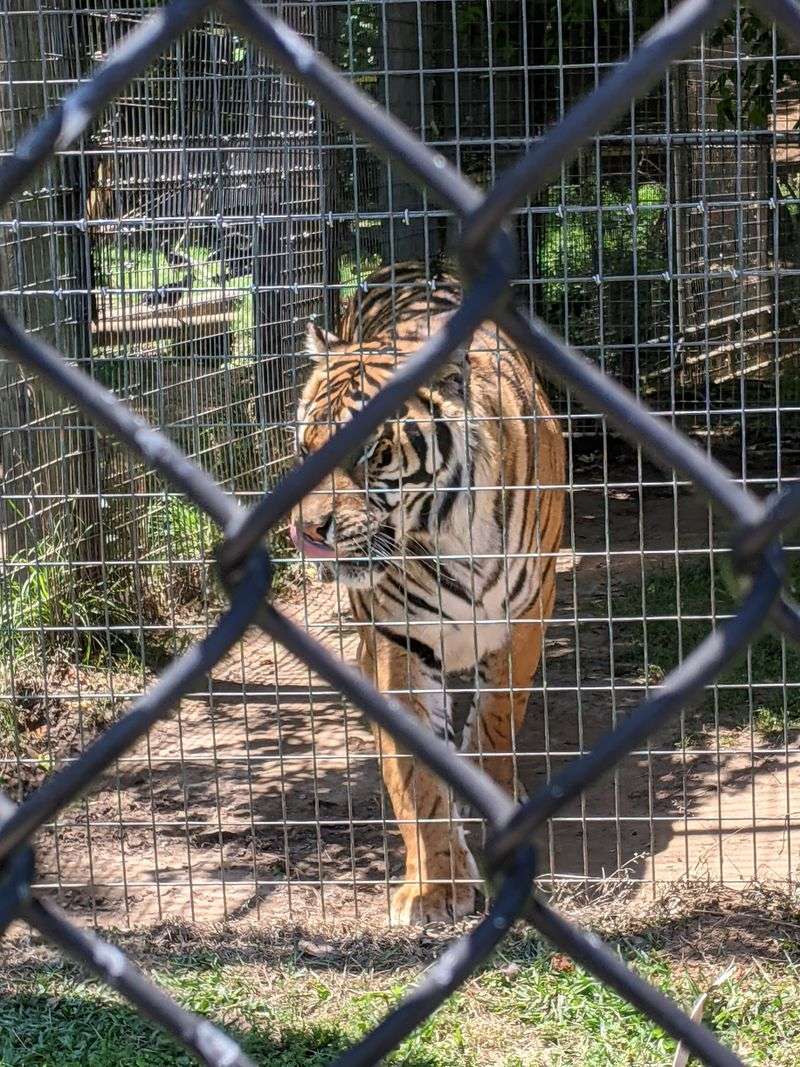 Why Visitors Can't Touch The Animals