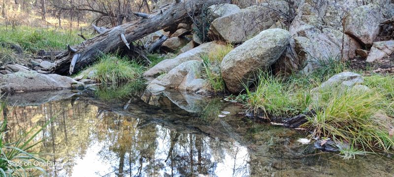 Black Hills Back Country Byway