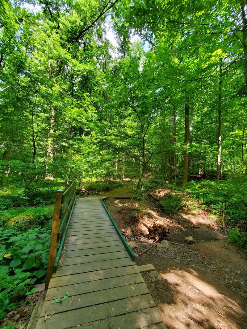 Perfect For Nature Lovers And Families Alike