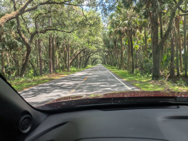 Spanish Moss And Oaks Create A Dreamlike Road