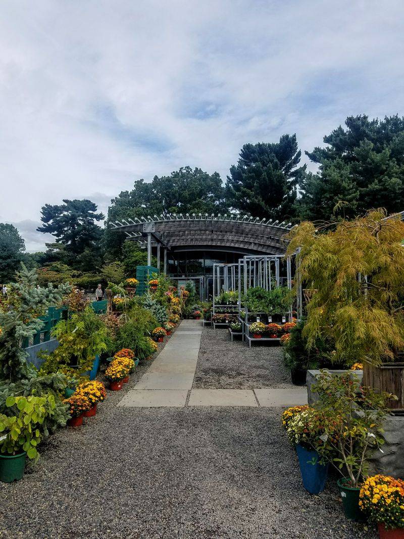 Why The Bronx Location Adds Depth