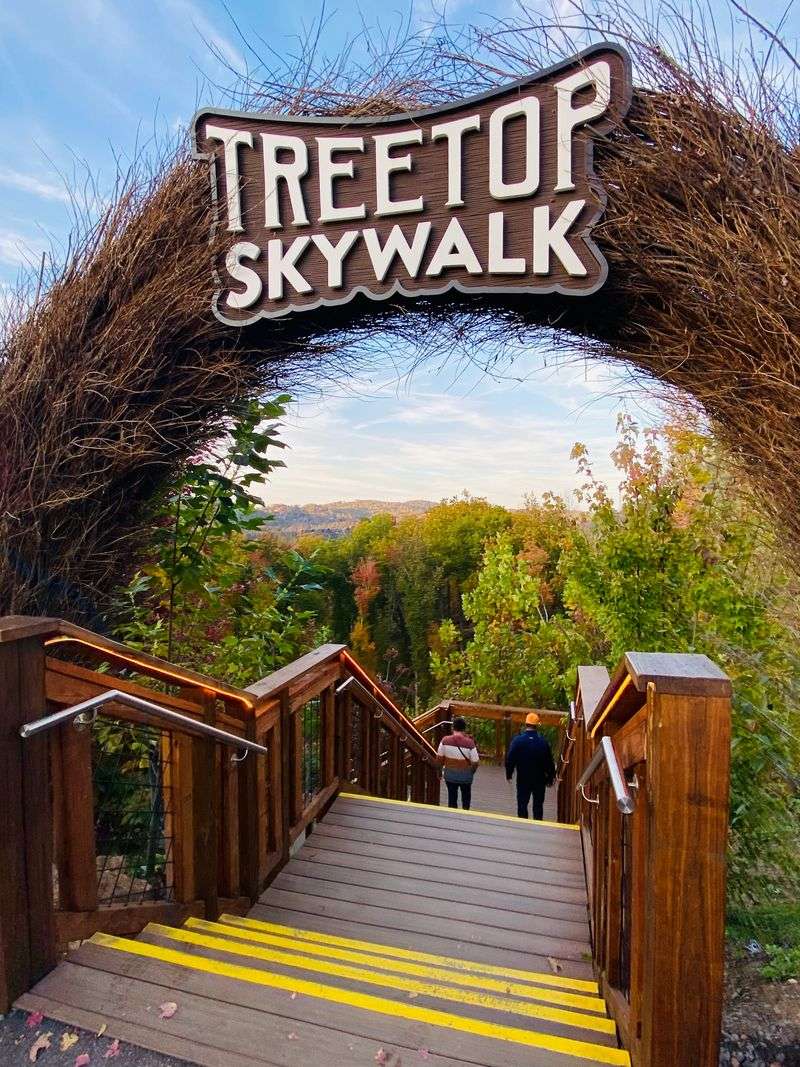 Families Find Their Rhythm On The Mountain