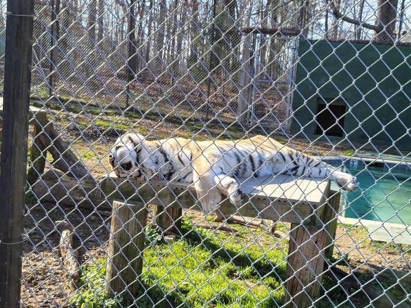 A Quiet Setting Away From Crowds