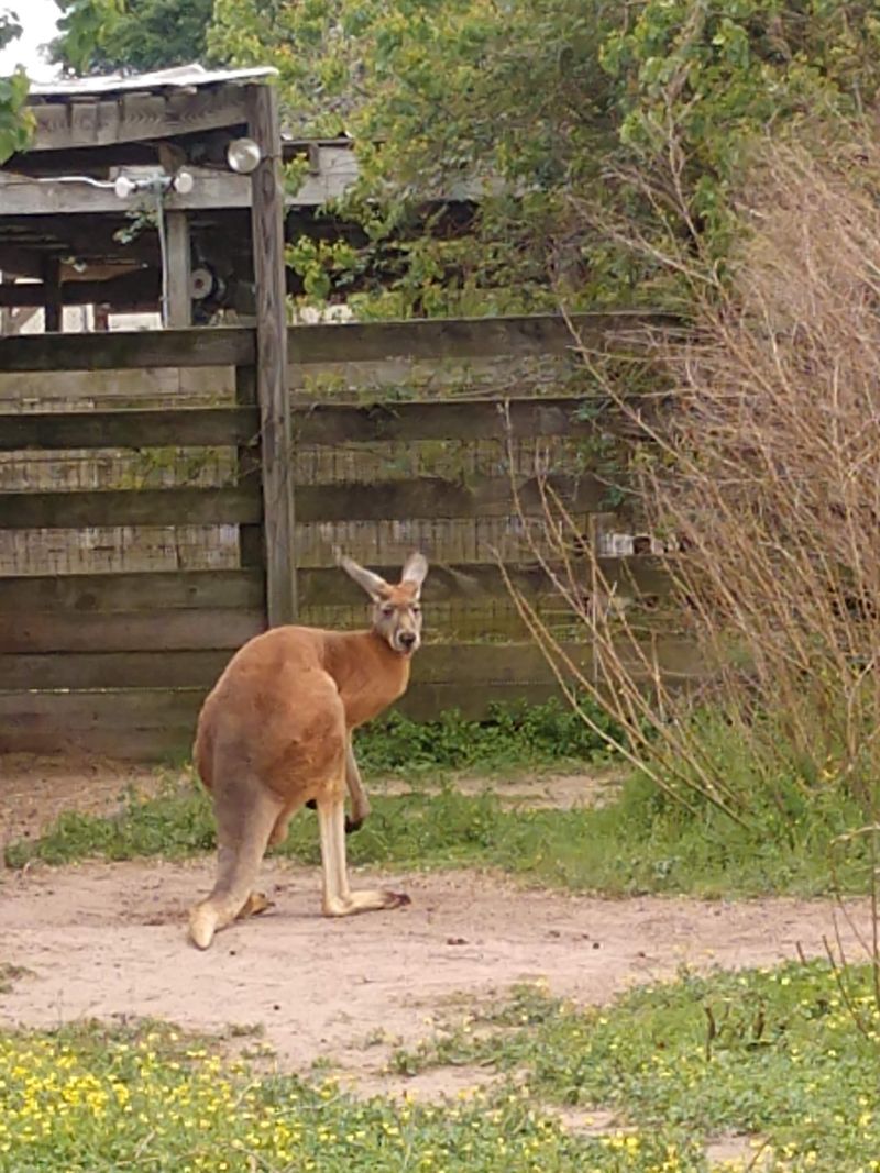 A Unique Destination For Private Events And Celebrations