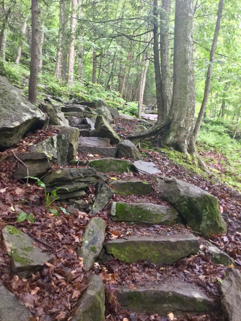 Mount Tremper And The Patient Climb