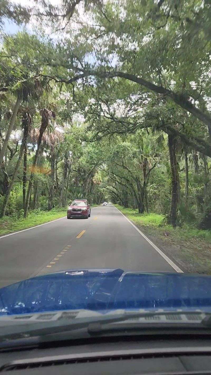 A Stunning 12-Mile Drive You'll Never Forget