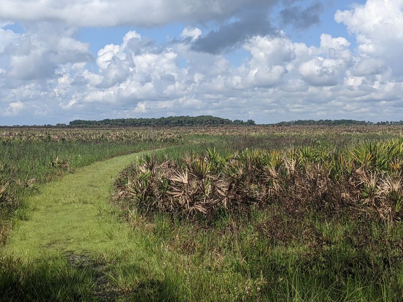 Kissimmee Prairie Preserve State Park