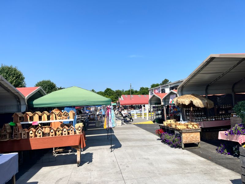 The Early-Bird Game Plan