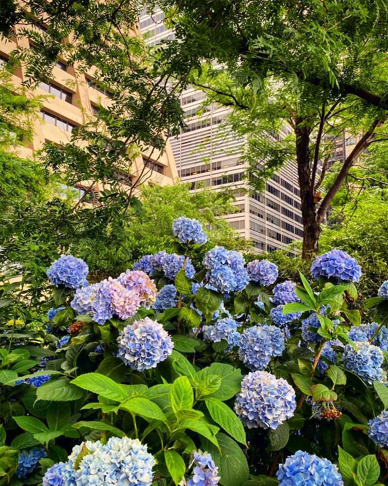 A Quiet Terrace With A Harbor’s Patience