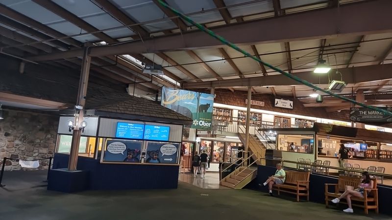 Practical Wisdom For Timing Your Visit