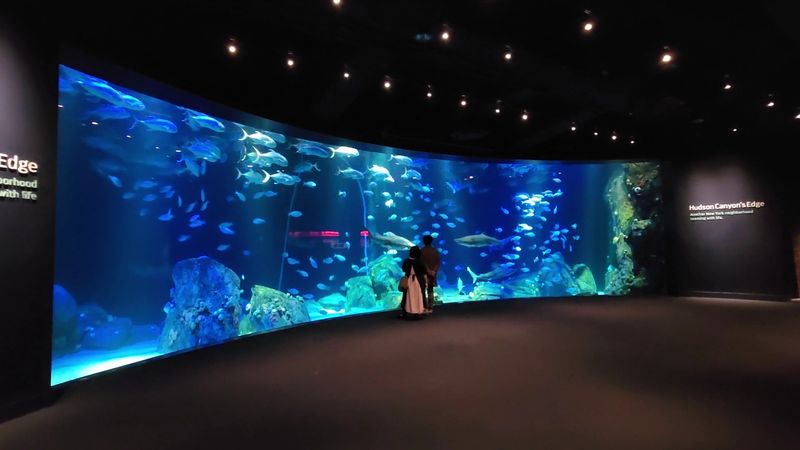 A Visit That Lingers Beyond The Exit