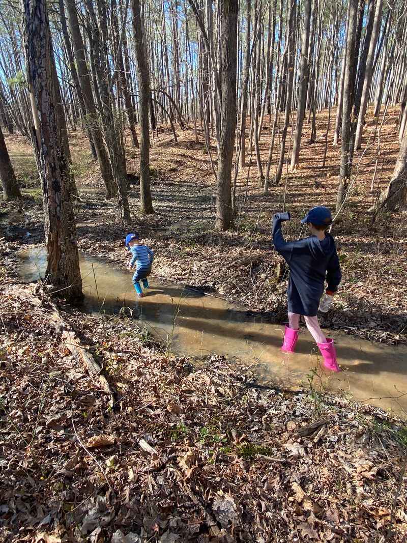 Dutchman's Creek Trail