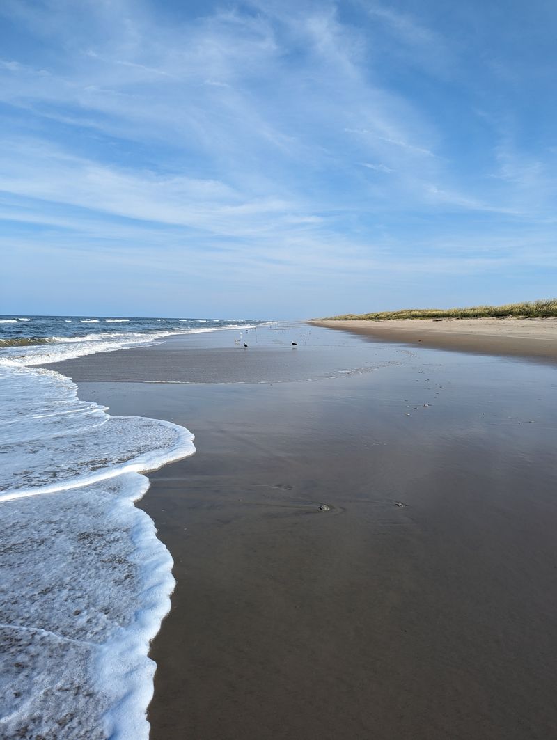 Back Bay National Wildlife Refuge