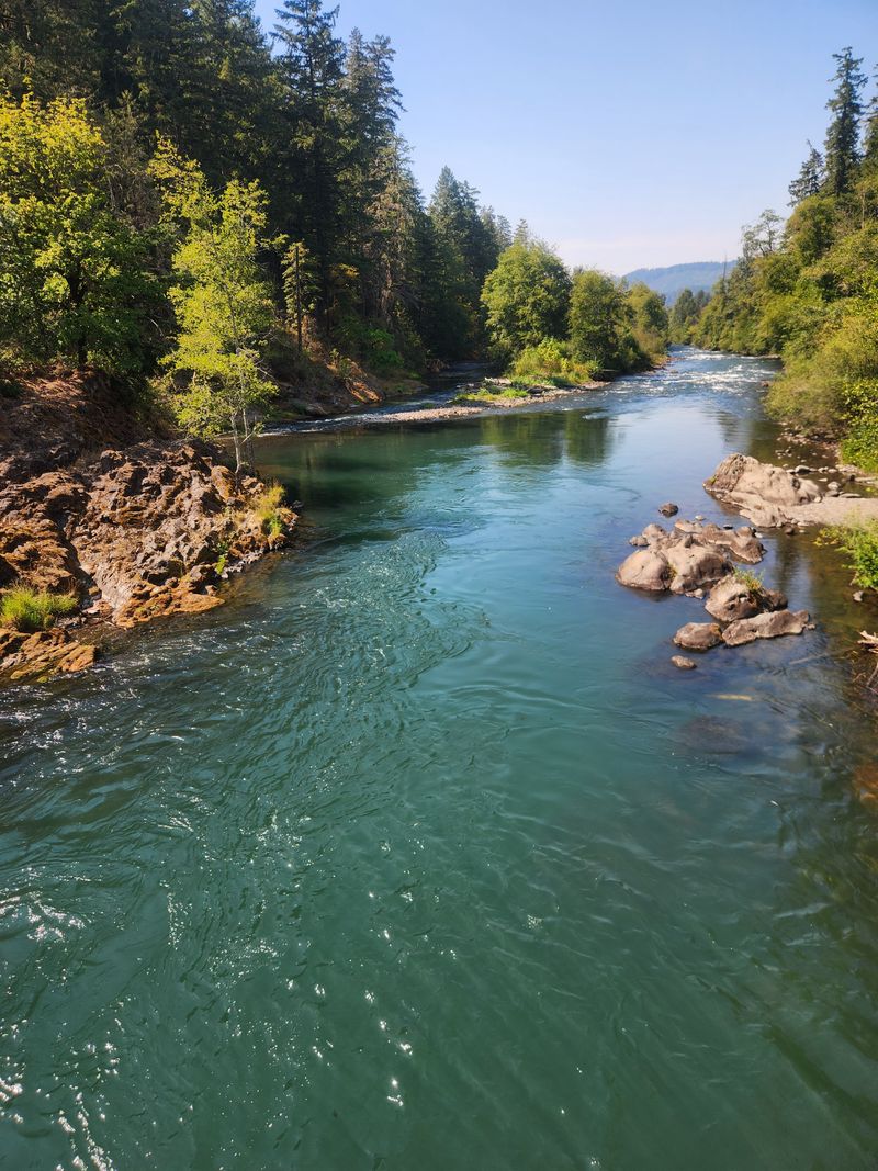 Life Moves At The Pace Of The Willamette National Forest