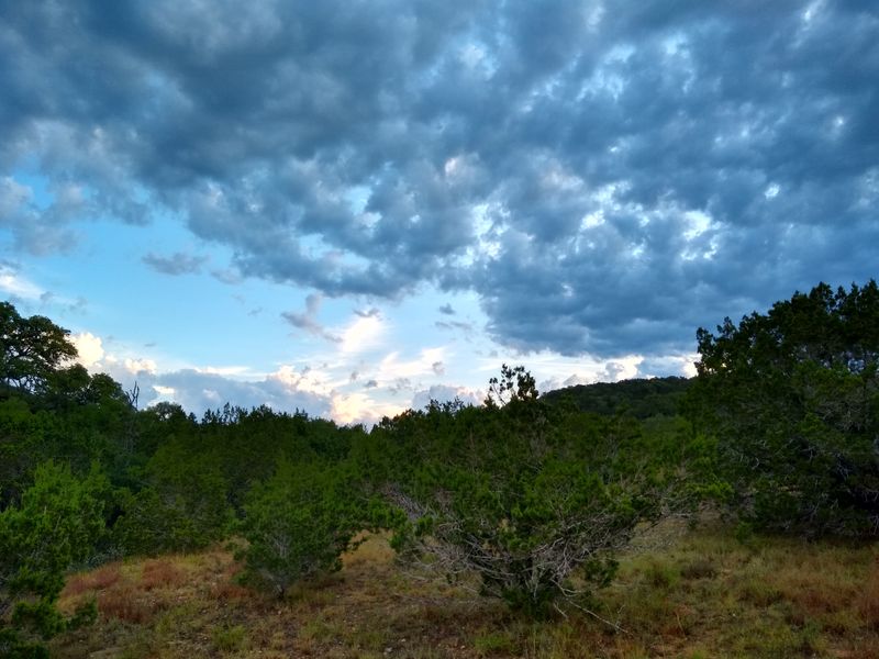 Madrone & Bandera Creek Primitive Trails (Hill Country State Natural Area)