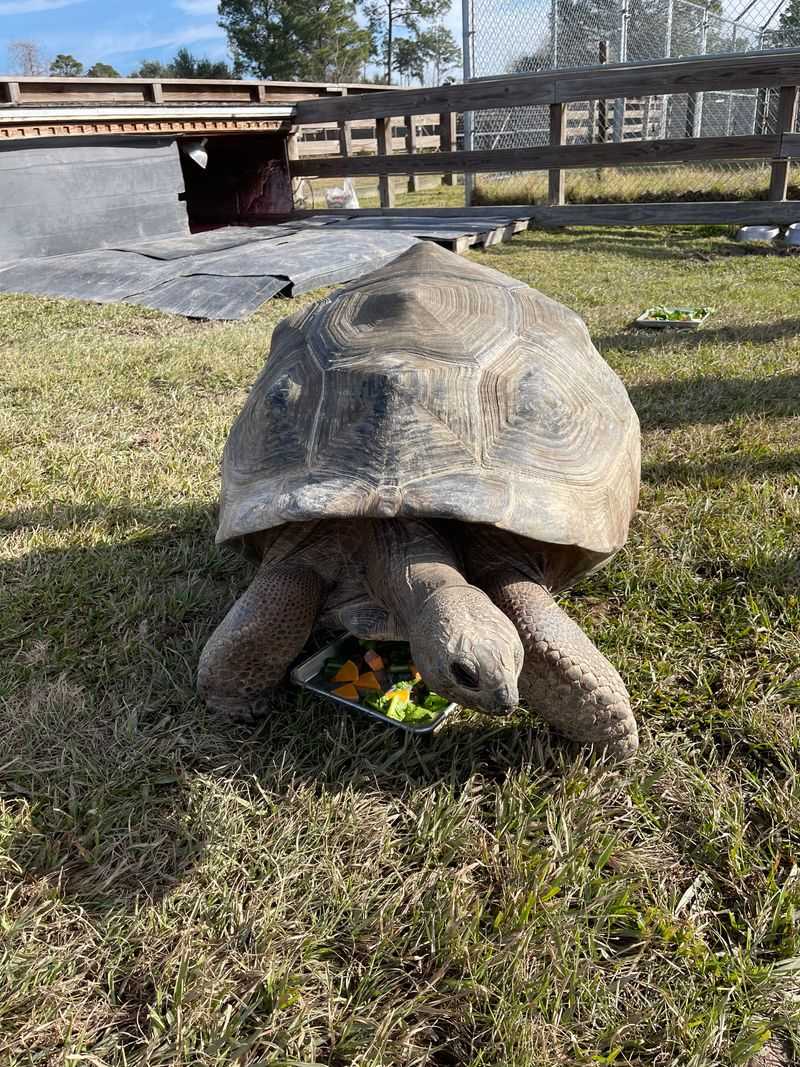 Educational Programs That Go Beyond A Typical Zoo