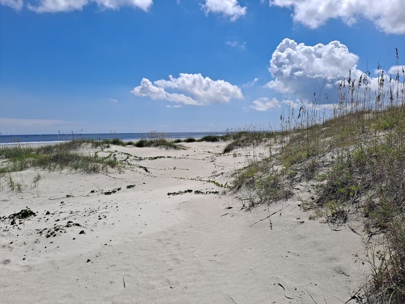 Cumberland Island National Seashore (St. Marys)