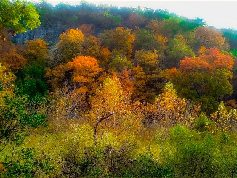 Lost Maples East/West/Loop Trails (Lost Maples State Natural Area)