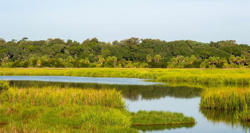 Little St. Simons Island (Glynn County)