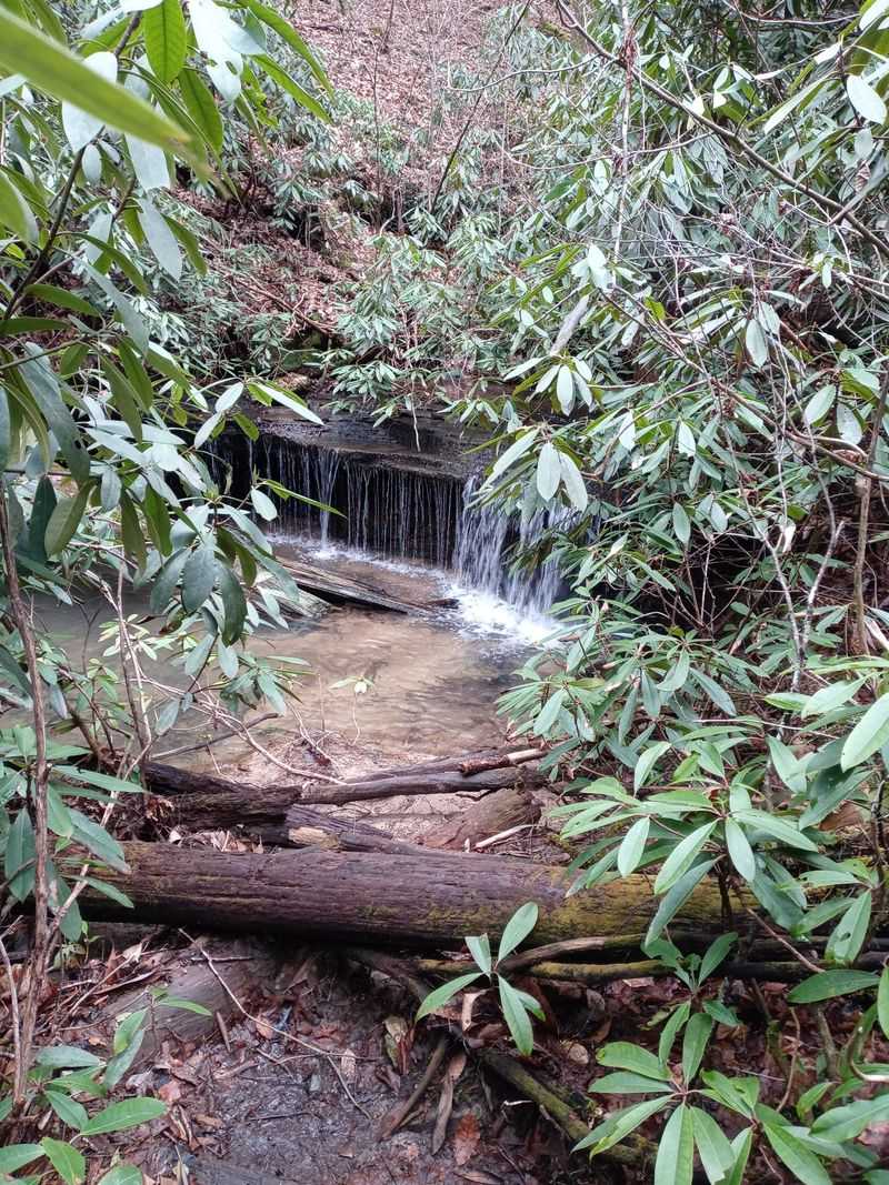 Honey Creek Loop (Grundy Co.)