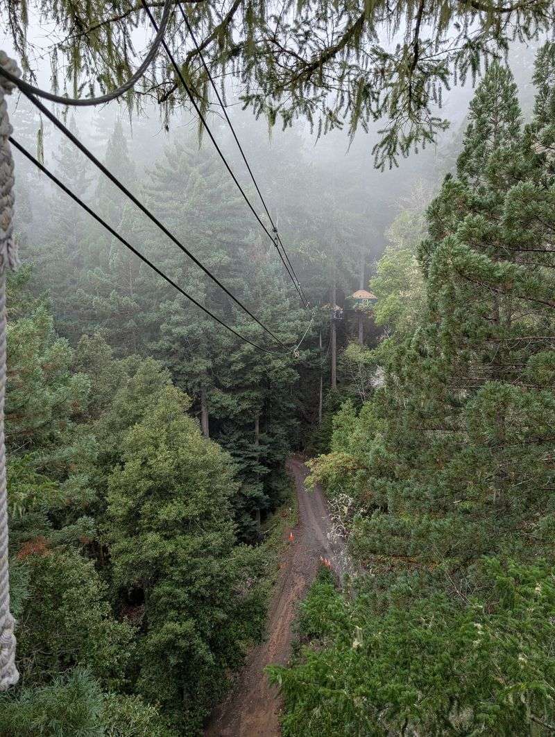 Ziplining Through The Redwoods (Sonoma County, CA)