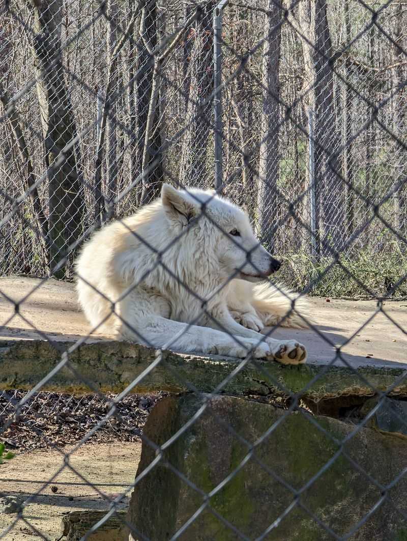 Education Comes Before Entertainment