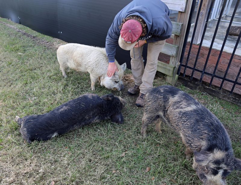 Special Animal Encounters You Can't Find Elsewhere