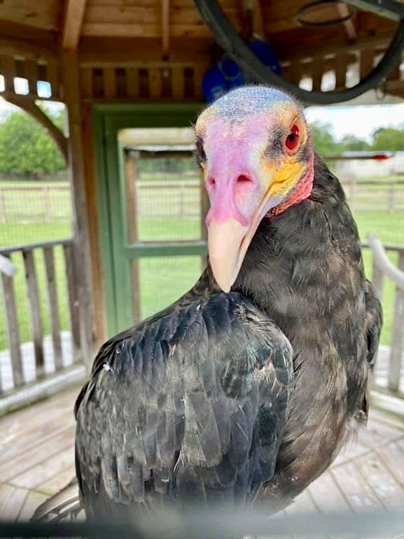 Guided Tours That Let You Get Up Close