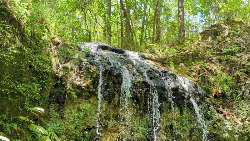 Torreya State Park – Weeping Ridge Falls