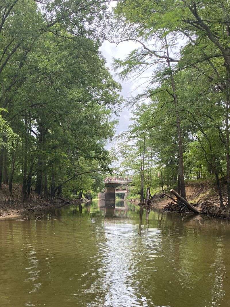 A Town Where Steamboats Once Defined The Economy