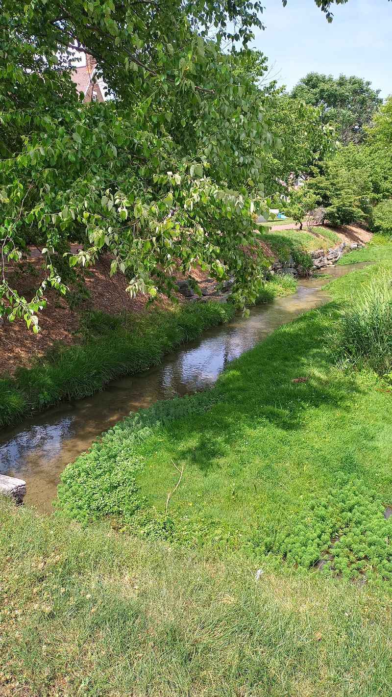 Ample Green Space And Quiet Parks For Everyday Relaxation