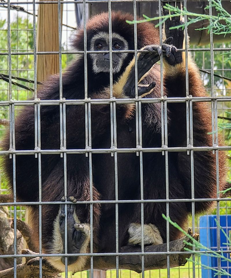 Guided Tours Bring Visitors Close