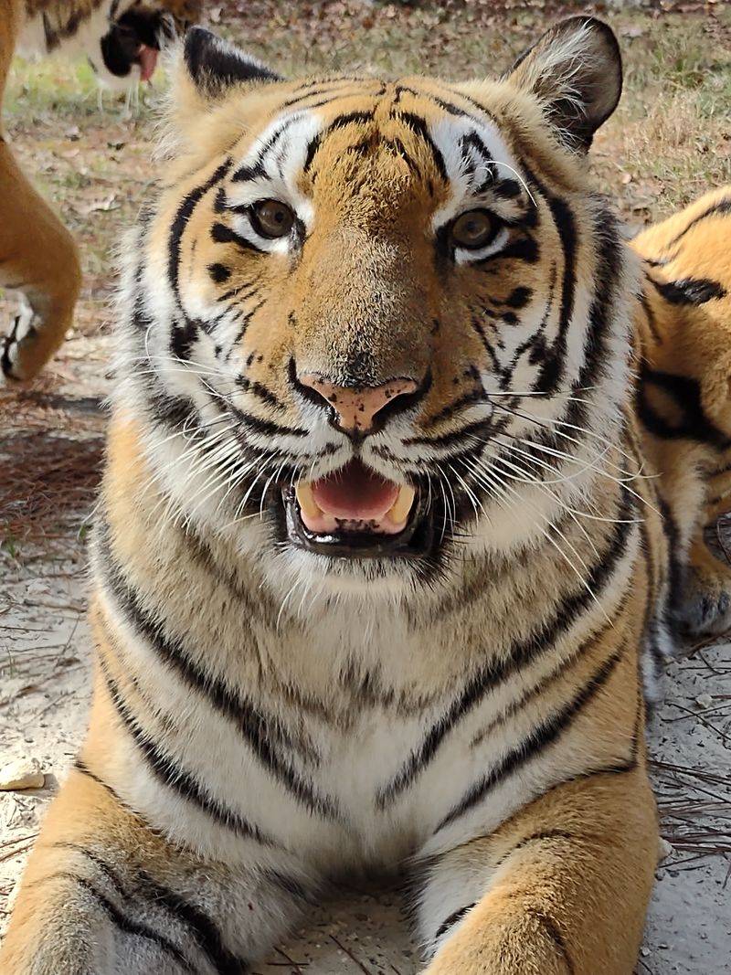 A Global Conservation Center Hidden In Florida