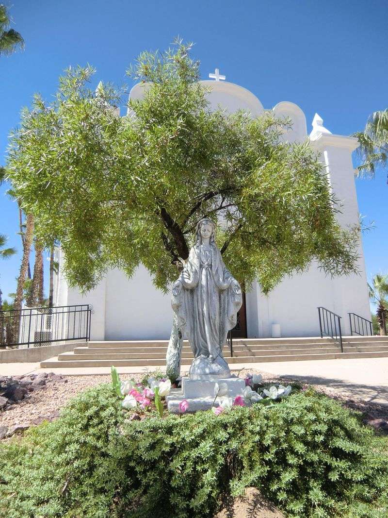 Wildlife And Natural Beauty That Define Ajo