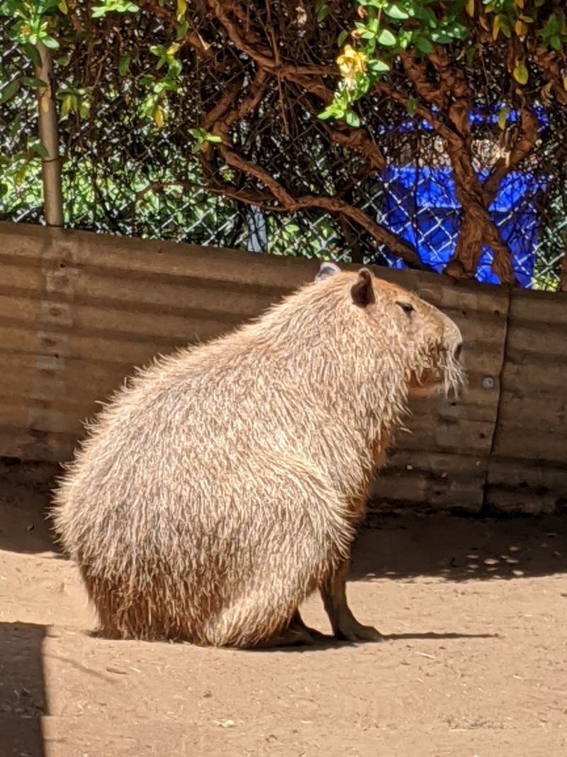 Why Most Californians Have Never Heard Of This Place