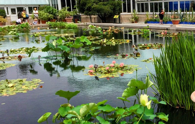 Learning Without The Lecture