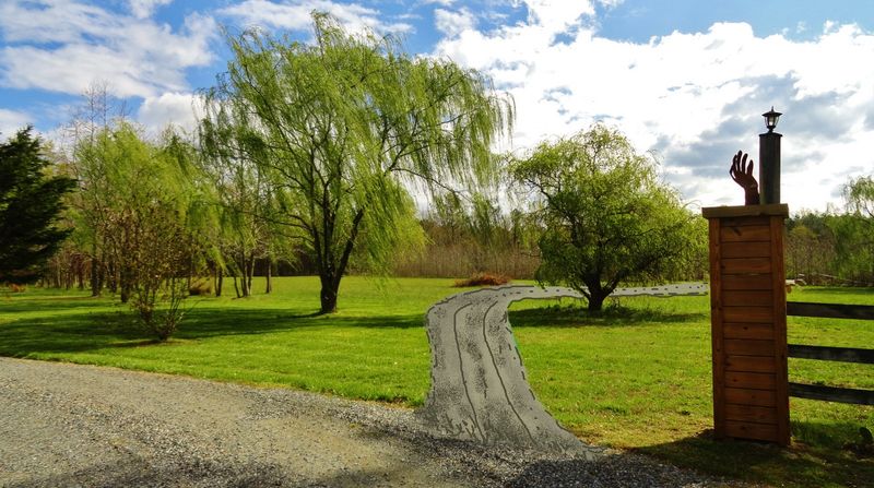 Why Aurora Truly Feels Timeless