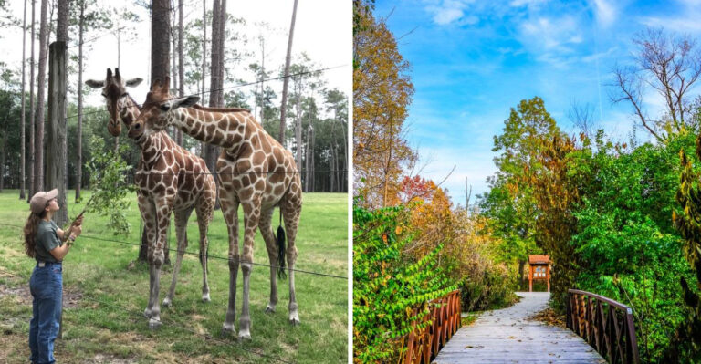 Inside Florida’s Secret Animal Sanctuary Where Rare Species Flourish