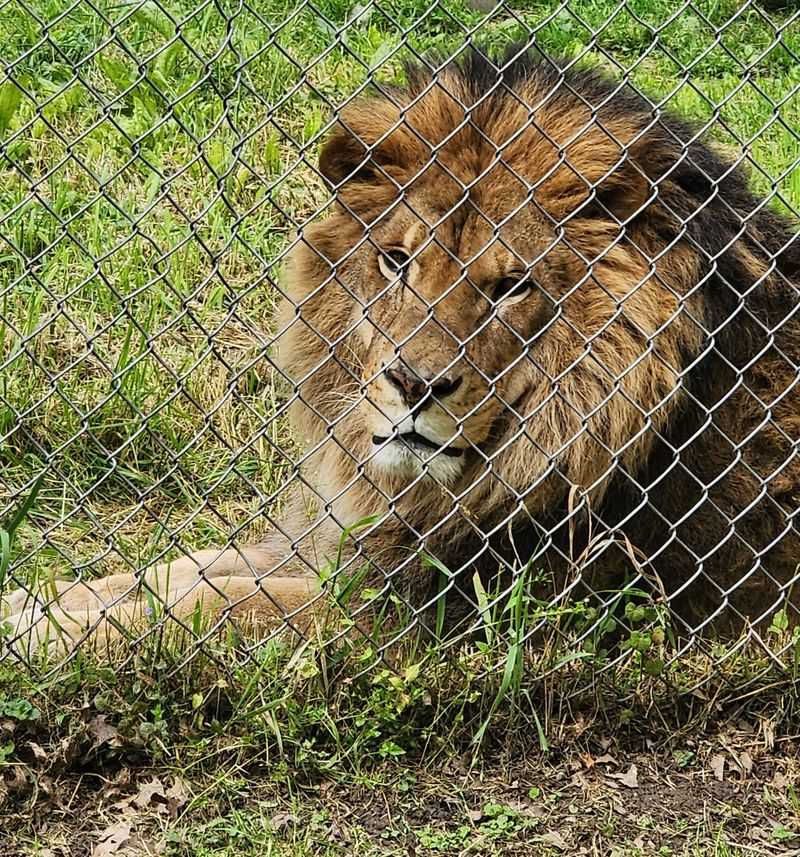 A Sanctuary For Animals Most People Never See