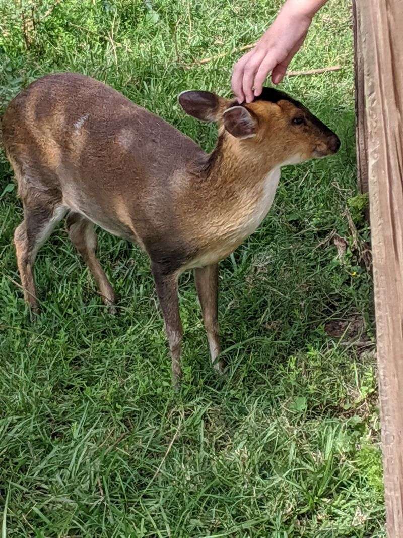 Low-Key, Reservation-Only Visits That Keep Crowds Away