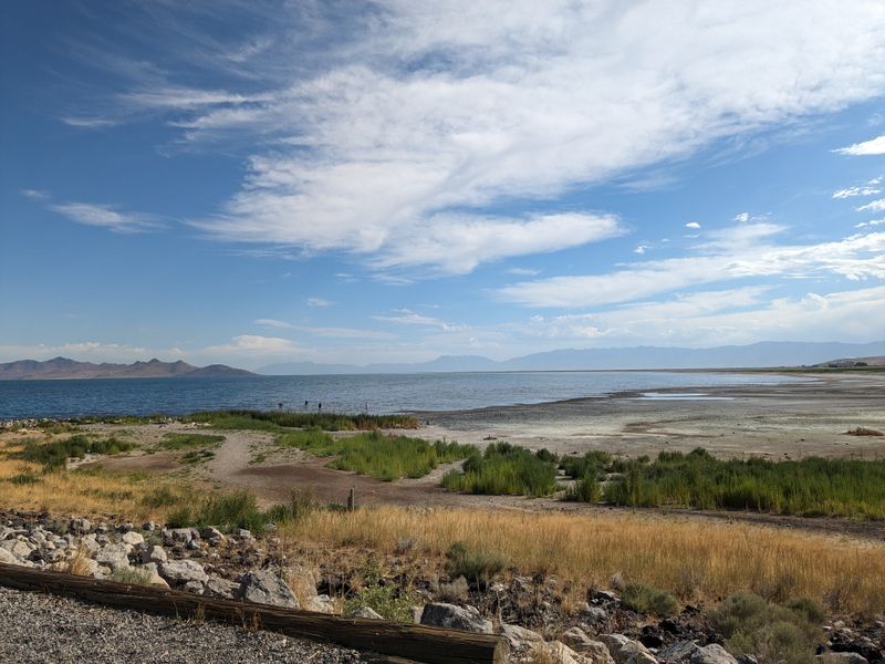 Birdlife And Open Water Make It Feel Wild And Peaceful