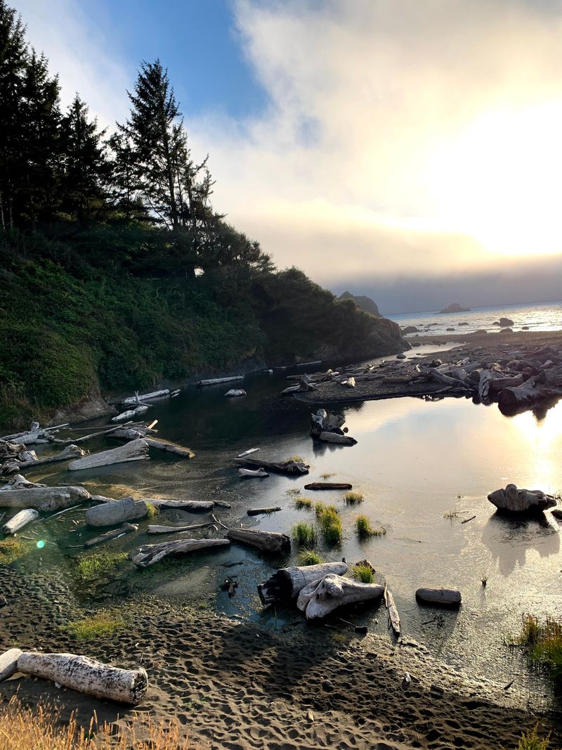 Low Tide Changes Everything