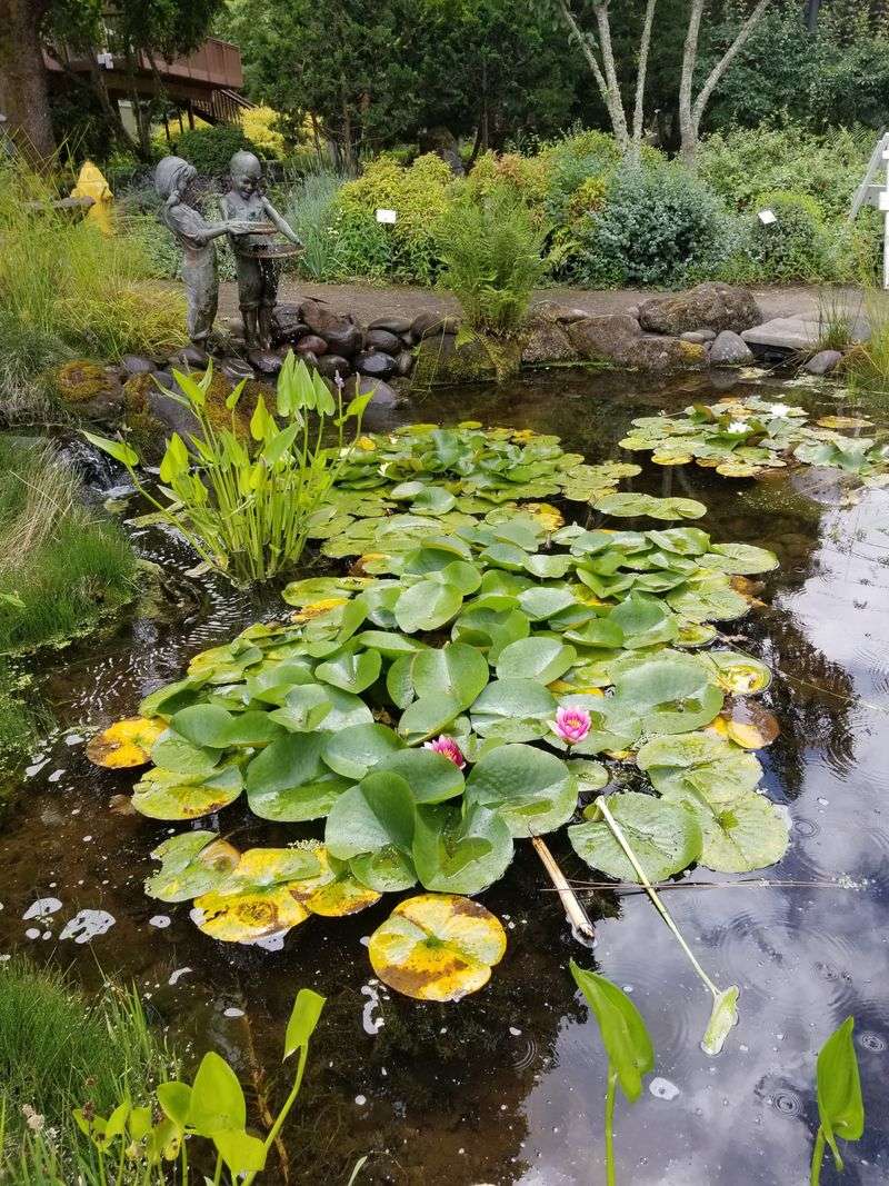 You Can Wander For Hours Without Seeing Everything